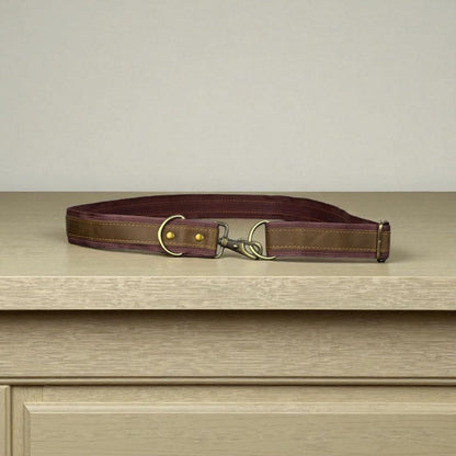Genuine leather Dog Hands-Free Belt and Leash Set