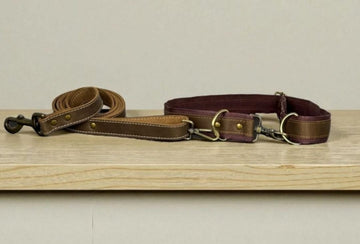 Genuine leather Dog Hands-Free Belt and Leash Set