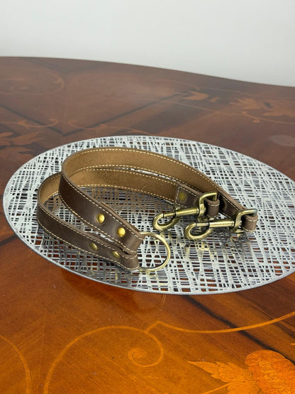 Heavy Duty Genuine Leather Leash and Coupler Set