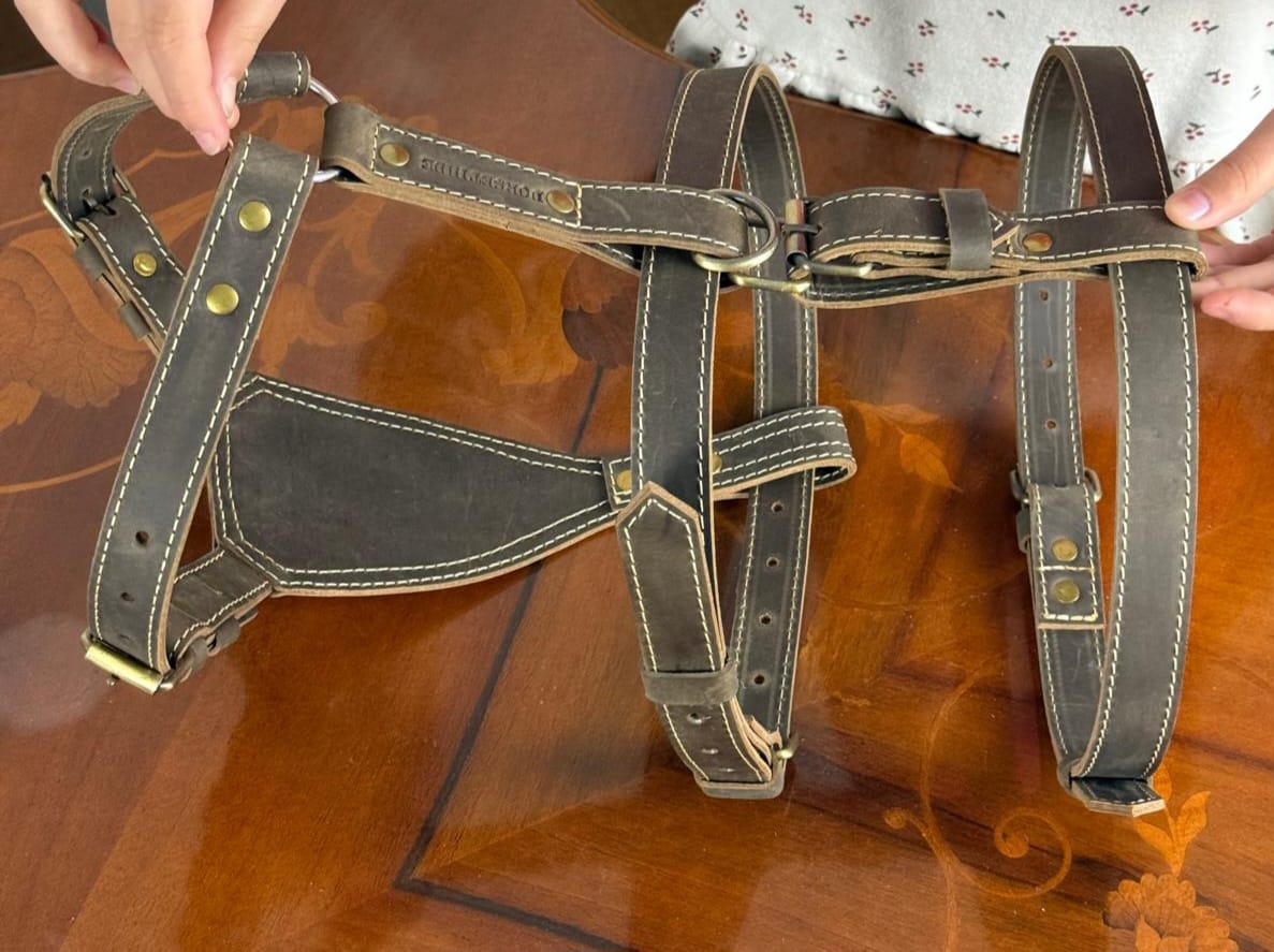 Genuine Leather 3-Point Harness | Convertible 2-Point Harness | Soft Strong Leather Body Harness | Antique Brass Hardware