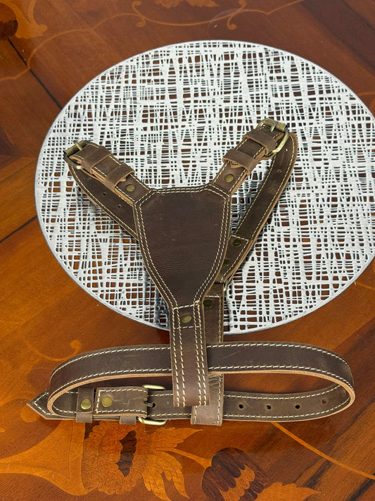 heavy duty premium genuine leather dog harness