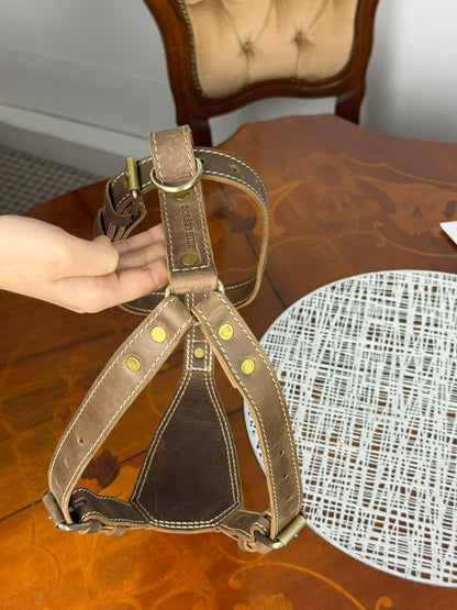 heavy duty premium genuine leather dog harness
