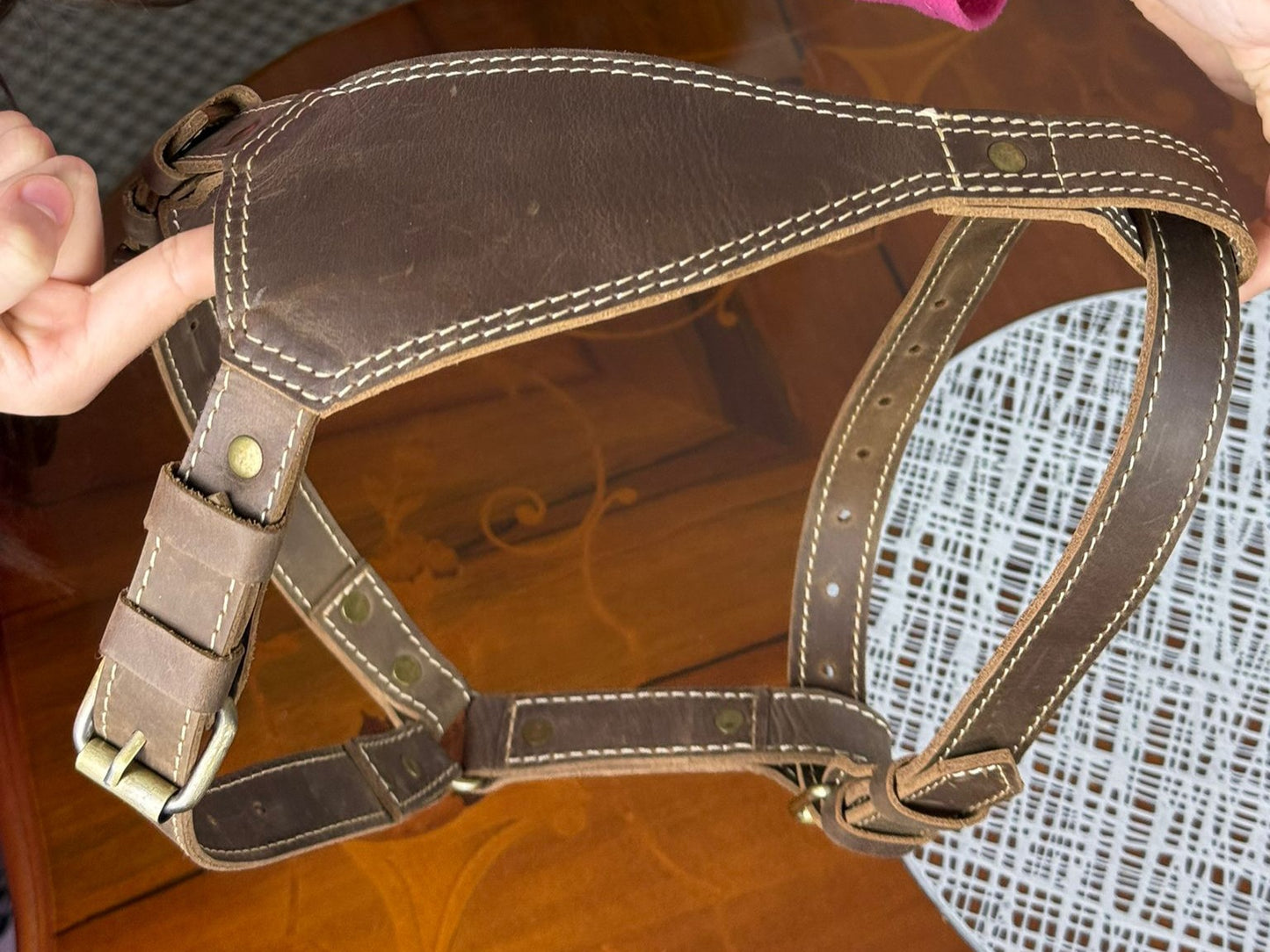 heavy duty premium genuine leather dog harness