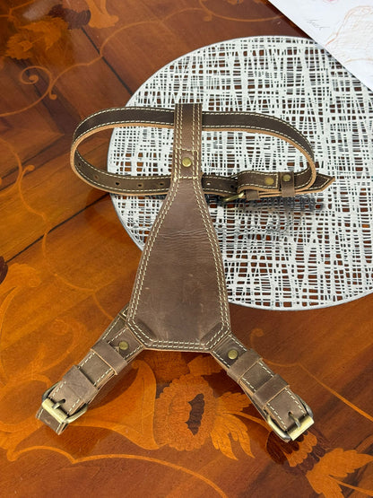 heavy duty premium genuine leather dog harness